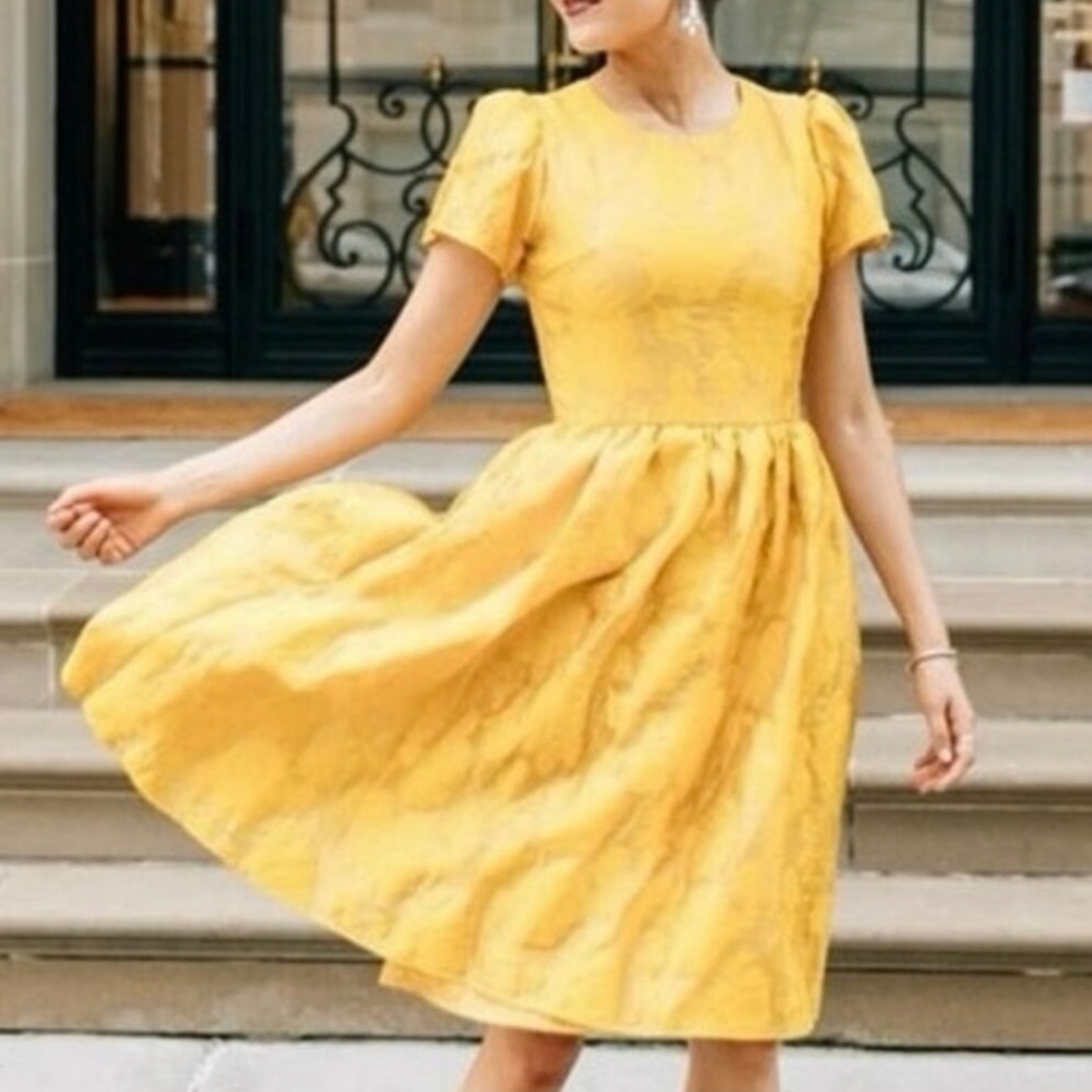 Rachel Parcell Gold Organza Fit And Flare Short Sleeve Dress